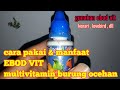 Ebod Vit Untuk Lovebird