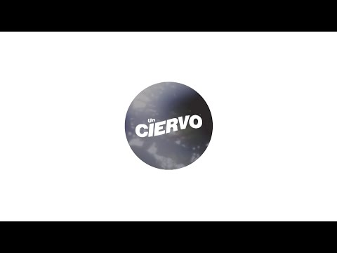 Un Ciervo - Estimular (video oficial)