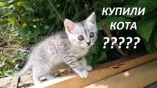 Маша сама снимает видео!!! Завели котенка