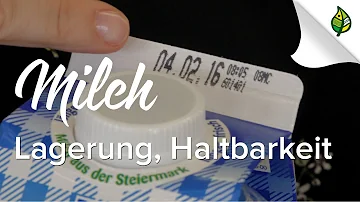 Wie lange braucht ein Fohlen mindestens Milch?