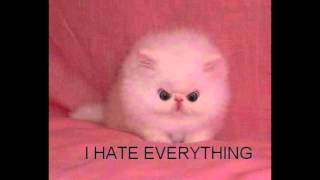 The Alice Rose: 'Trick or Treat' (Emerald Wood Studio, 2009)