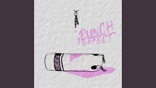 Punch Perfect
