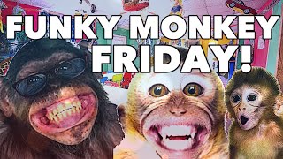 FUNKY MONKEY FRIDAY FULL SONG