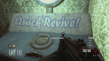 Black Ops 2 Trolling Fun lol