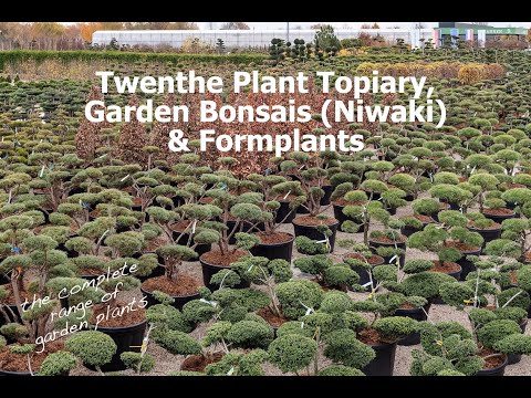 Video: Topiary - Krullend Kapsel Van Planten