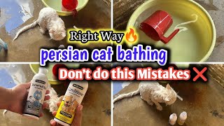 Persian Cat ko kaise nahlaye | Easy way to bath a persian cat | persian cat bathing tips hindi/urdu