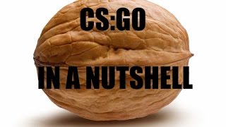 CSGO in a nutshell (RUSH B!!1!)