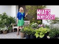 Whats in my pots container garden inspiration for shade and full sun