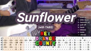 Sunflower |©Rex Orange County |【Guitar Cover】with TABS