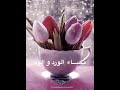 مساء الورد والود حالات واتس 