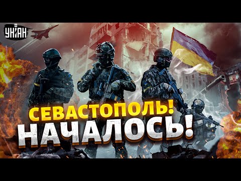 Video: Севастополдун жайма базарлары