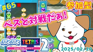 【#ぷよテト2 /switch版】寒さに負けずがんばる！いっぱい対戦してね▽・x・▽♪＃65【ゲーム/#参加型】