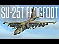 MY FIRST LOW LEVEL AIRSTRIKE MISSION! - DCS SU-25T Frogfoot feat. Ralfidude