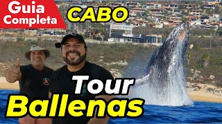 EL MEJOR TOUR a las BALLENAS ❤CABO SAN LUCAS Que Incluye Recorrido  Contacto  Tips