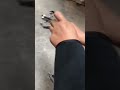 V20 Mini Predator | Compact Powerful Hunting Bow for Outdoor Shooting