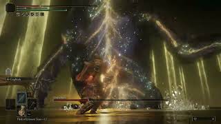 Radagon and Elden Beast NG+1