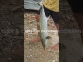 CÁ THU - CÁ CÓC - ĐẶC SẢN CÁ SÔNG THIÊN NHIÊN AN GIANG