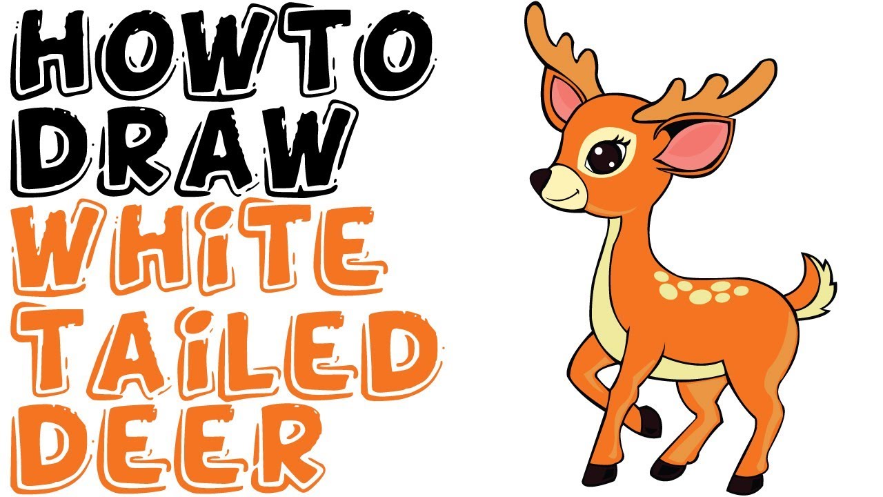 Best How To Draw A White Tailed Deer Easy of all time Don t miss out 