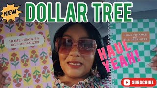 Dollar Tree Car Haul | New Arrivals
