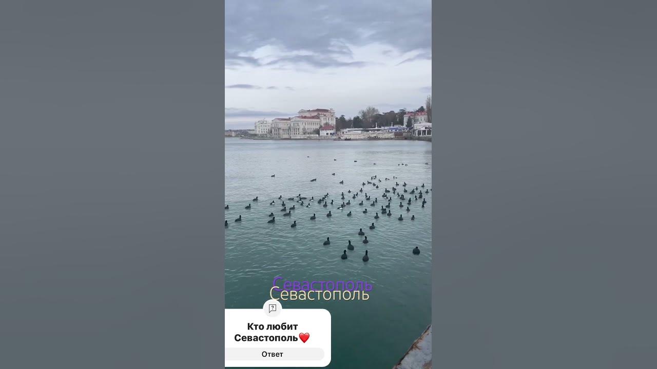 Севас - YouTube