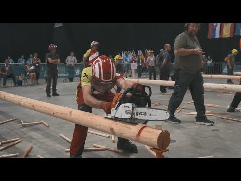 Видео: Машина за рязане на дърво. Дървообработващо оборудване