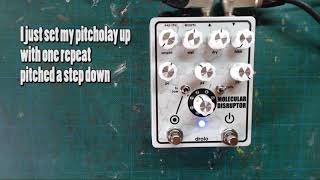 pitcholay / poor man's guitar duo (molecular patches) - drolo