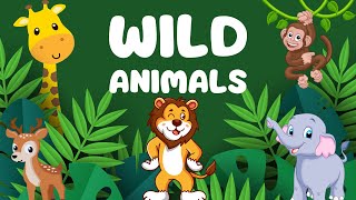 Into the Wild: Fun & Educational Video on Wild Animals for Kids | Explore the Amazing Animal Kingdom