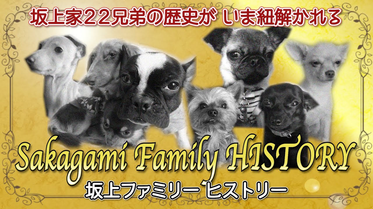 坂上ファミリーヒストリー① 〜懐かしの画像とブログで振り返る 坂上家の歴史〜