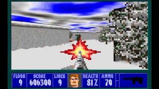 Wolfenstein 3D The Lost Missions EP3: Revenge of the Mutants Floor 9 (Secret Floor 2)