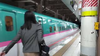 E5系U21編成 東北新幹線 なすの265号 入線 上野駅