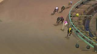 MEA SAT 21 NOV 20 R7