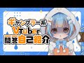 【自己紹介】いろいろ終わってるVTuber一問一答自己紹介【新人vtuber/雨乃千晴】