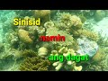 BES'73 CORON ESCAPADE Day 3 Sinisid namin ang  Dagat