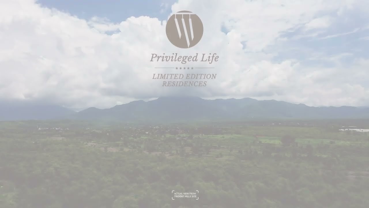 The privilege of aesthetics