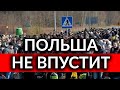 Польша принимает украинцев без загранпаспортов, с животными и предоставляет жильё