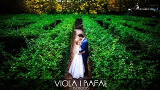 Wedding clip I Viola & Rafał