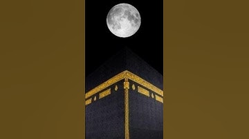 اجمل تلاوه للشيخ ياسر الدوسري ارح قلبك بل تلاوه خاشعة  والجميله