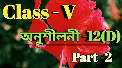 Class 5 Math Ex-12(D) Repeat Video  Solution in Assamese/Babu