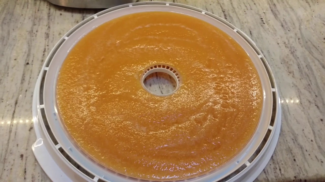 Food Preservation 03 Cantaloupe Fruit Leather YouTube