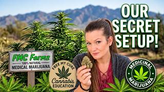 FMC Farmz Vlog 9: A Look Inside Our Desert Build wit Nicola! #FMCFarmz #FreeMyCure