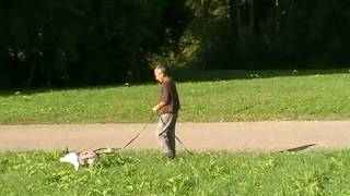 Saphira, Trail Vom 6.9.09