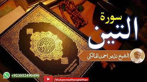 Surat ul Teen | Sheikh Qari Nazeer Ahmad Almalki | قاری نذير احمد المالکی | سورة التين