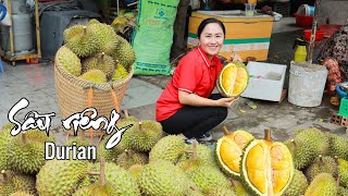 Harvesting DURIANS  goes to the market sell, cooking yummy dishes | Emma DaiLy Life