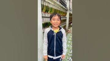 Đi Săn Cá Tai Tượng Châu Phi #bettasales #traicabetta #taituongchauphi