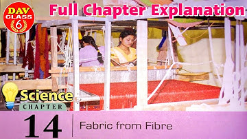 🧥Fabric from Fibre🛍Full Chapter Explanation🧦Chapter 14 Science Dav Class 6 | The Living World