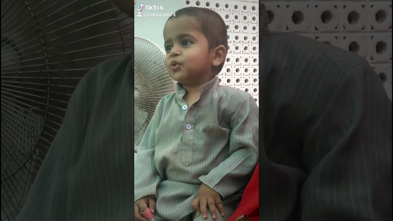 Animals Voice - YouTube