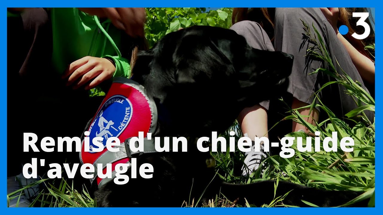 La remise d'un chien-guide d'aveugle : un beau moment