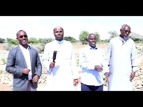 WARKA-Xildhibano Iyo Mayirka Borama Oo Ka Hadlay Xabalahii Borama Oo Dumay camera iphone 8 plus apk