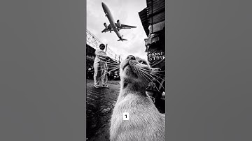 the random frames at mobile 🤩#oneclickphotography #clickwithme #shorts #mobilephotography