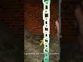 Episode 2 of The Hole Never Ends…Part 3 ...#shorts #gaming #viral #horrorgame #survival